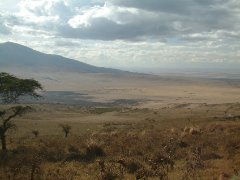 03-Tanzania-Serengeti